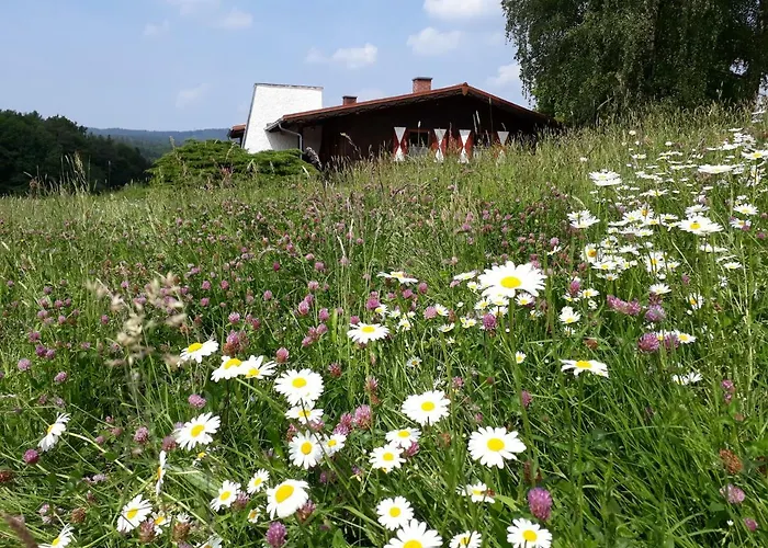 Ellernhof Im Spessart 別荘
