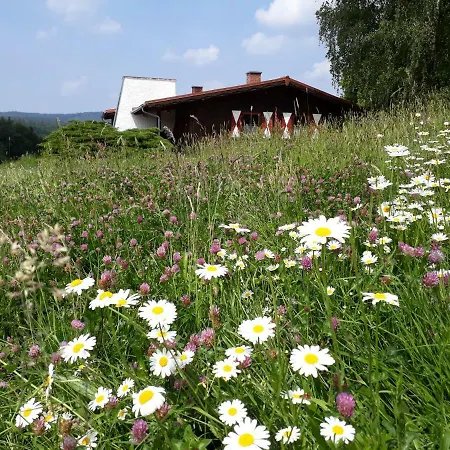 Ellernhof Im Spessart Dom wakacyjny