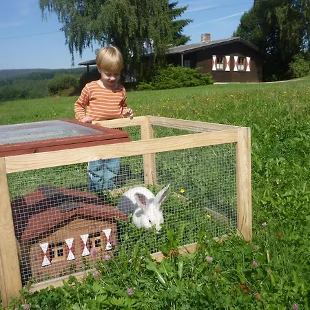 Dom wakacyjny Ellernhof Im Spessart *